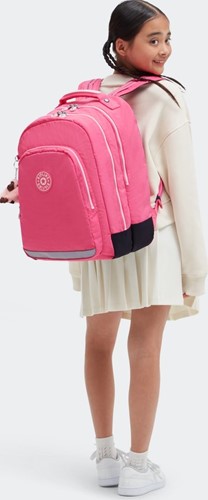 classroom-happypink-4.jpg
