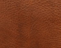 Bear Design Aiden Hoge Billfold RFID - Cognac