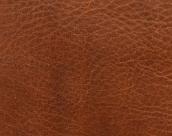 Bear Design Aiden Hoge Billfold RFID - Cognac