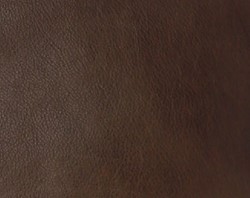 Bear Design Jamie Laptoptas 15,6 inch - Bruin